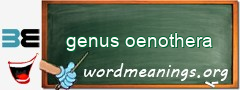 WordMeaning blackboard for genus oenothera